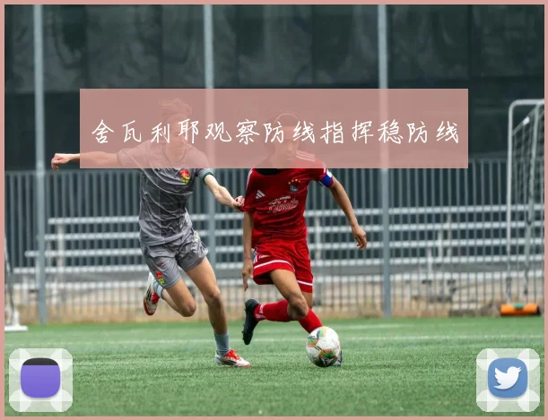 舍瓦利耶观察防线指挥稳防线